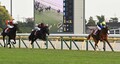 【京王杯2歳S】ダイヤモンドノット ...