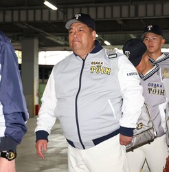 ������ꤹ�����Ͱ�����ë������ġʻ��ơ����Ķ��ԡ�