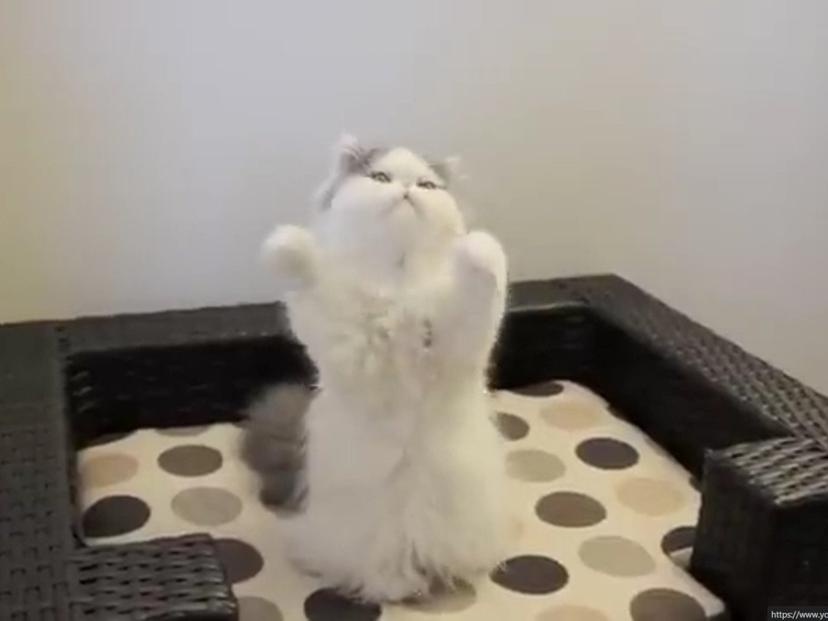 ���Υե�����Ǥ���