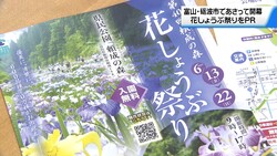 �ƥ�Ӷ���NEWS