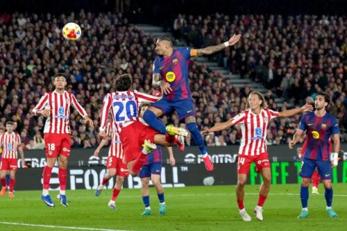 ���ȥ�ƥ�����13ǯ�֤�ι��շ辡�ʽС����Х륵��1�����ޤ��ɤ��夲�⡢�ȴ��סɤϵ�������