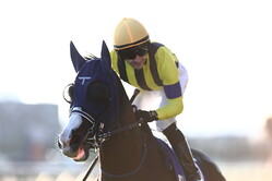 ����ѥ󥫥åס��ޥ����졼�ɥܡ����C.��᡼�뵳��