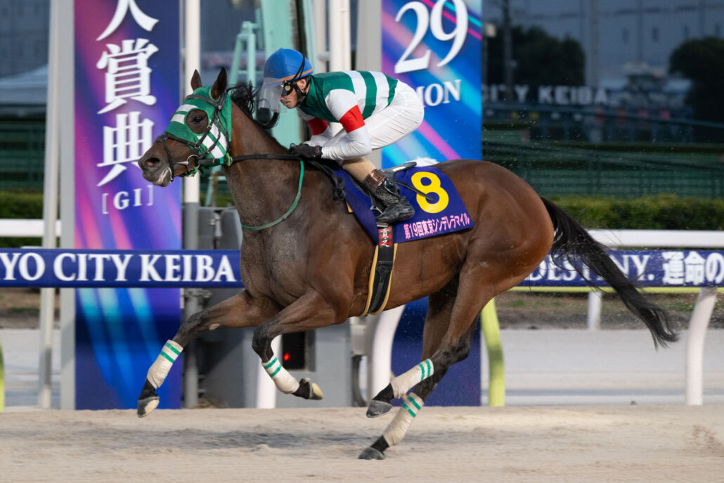 東京シンデレラマイル・ホーリーグレイルと矢野貴之騎手 (C)東京シティ競馬