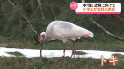 �ƥ�Ӷ���NEWS