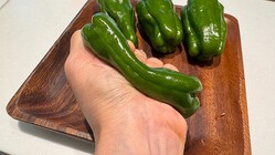 JA�����������θ���X��������Ȥ��