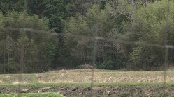 �ڸ�������۰���ȯ���λ��ֻҤɤ⤬����Τ򸫤����Ȥ��ʤ��ס�����������������Ʊ�����֤��礦�����̤ε٤ߤǤϤʤ��ס����ԡ���ð��