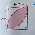母も解けず検索…小6の面積問題