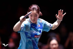 �ڸ���ͪ��C��WTT