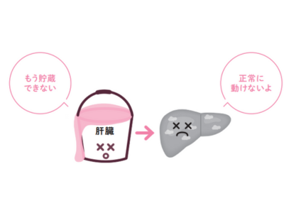 「やせられない体」になる…!? ダイエットを妨げる”脂肪肝”とは【新脂肪肝 代謝復活ダイエット】