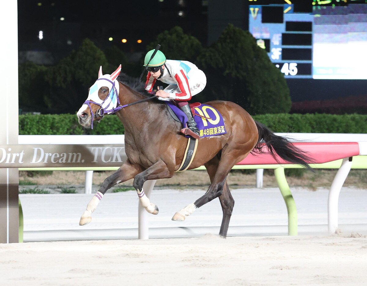 大谷めぐみ　ハミ毛 