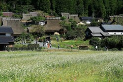 ƱǤȶϤϤäȡɡȤ«åݤʤϤǤڥޥޥ