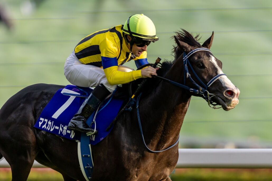 天皇賞(秋)・マスカレードボールとC.ルメール騎手