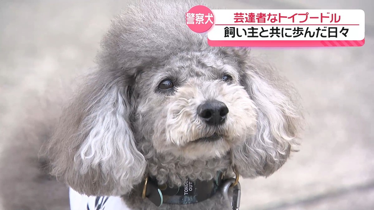 �ƥ�Ӷ���NEWS