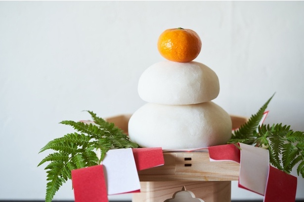 「一生見ていられる」心までとろける可愛いお餅の姿がInstagramで話題