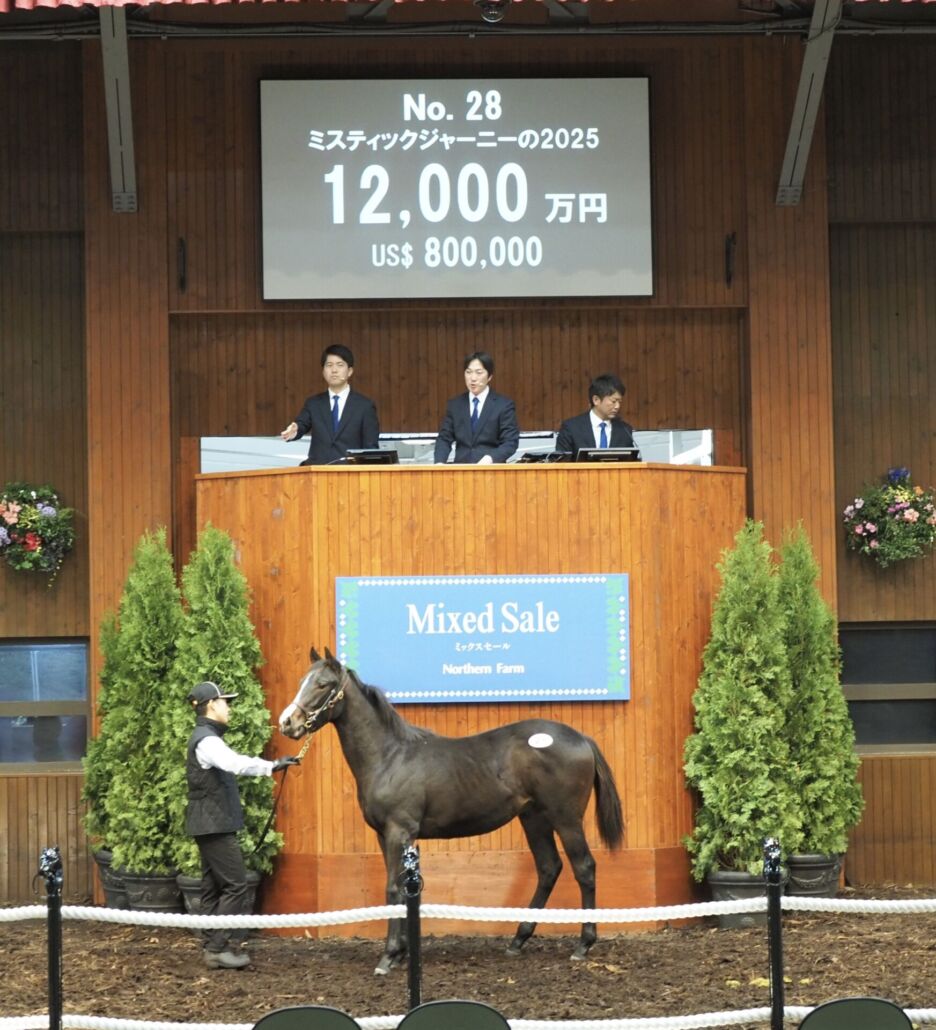 ミックスセール2025】イクイノックス産駒、最後の上場馬は1億