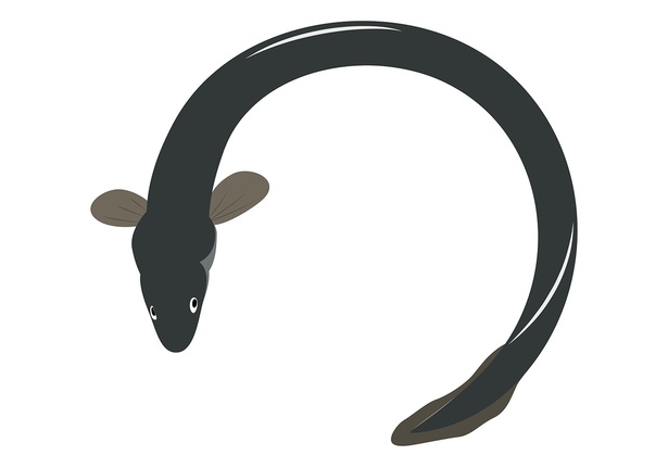 ʥ֤Ϥɤ?ϵǵƤ뤳ȤϤɤ狼?