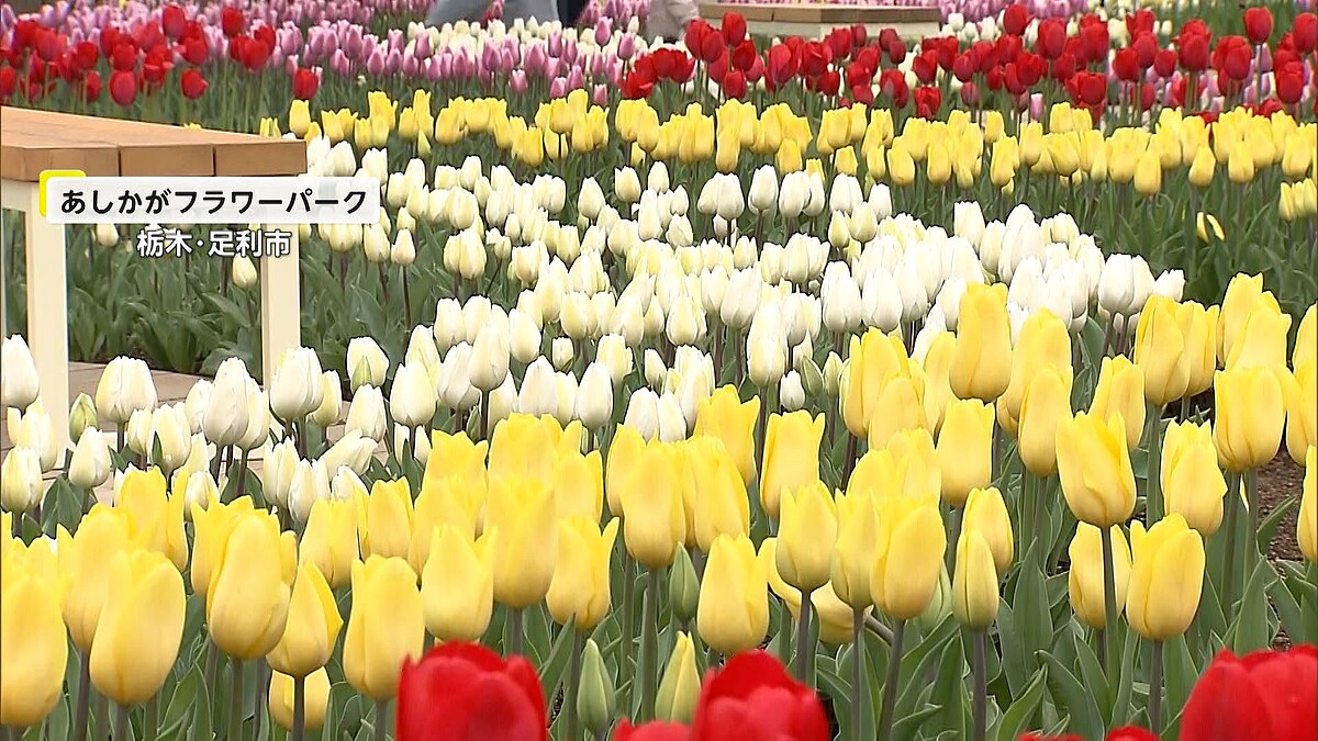 花粉症だと思っていたら実は感染「隠れインフル」が急増か