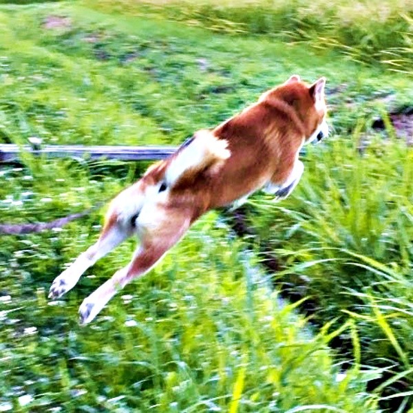 桢祷゙゚ ¦¤゙ۤơιϤءʲ󶡡Ƹƥ゚゚