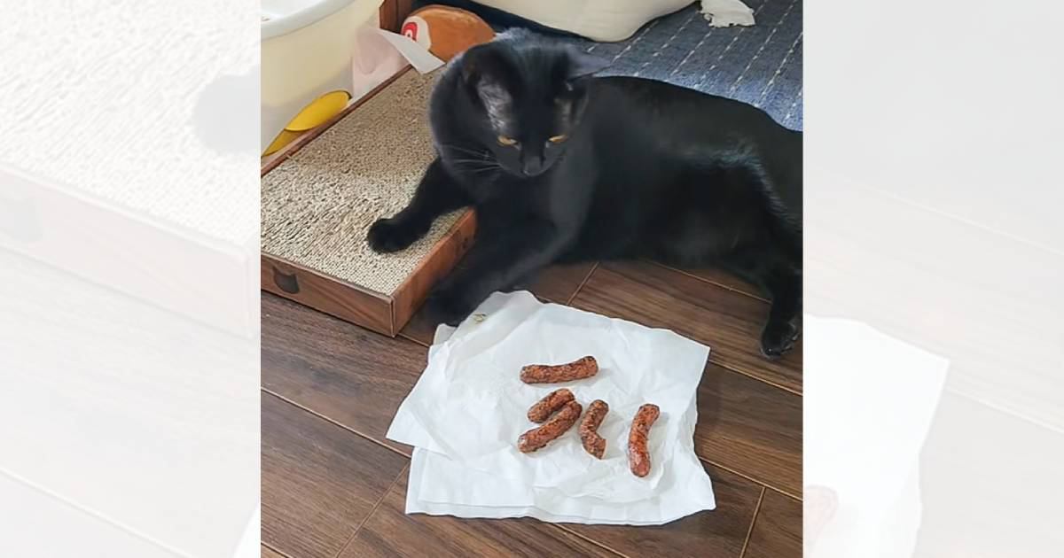 かりんとうを勘違い? 動画が話題