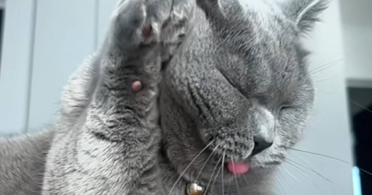 ?ޤޤǤǭΥ롼ߥ󥰤ͻҤȿ