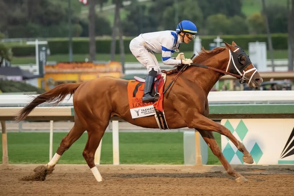 【米サンタアニタHC】ロックドが8馬身半差圧勝 - ライブドアニュース