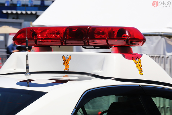 Large 210831 pipokun 01