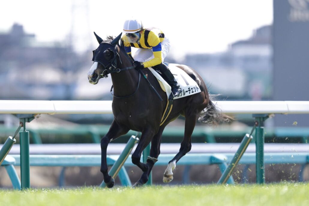 【中山5R】ルナルーチェットが7馬身差圧勝 - ライブドアニュース