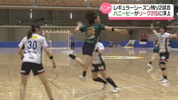 �ƥ�Ӷ���NEWS