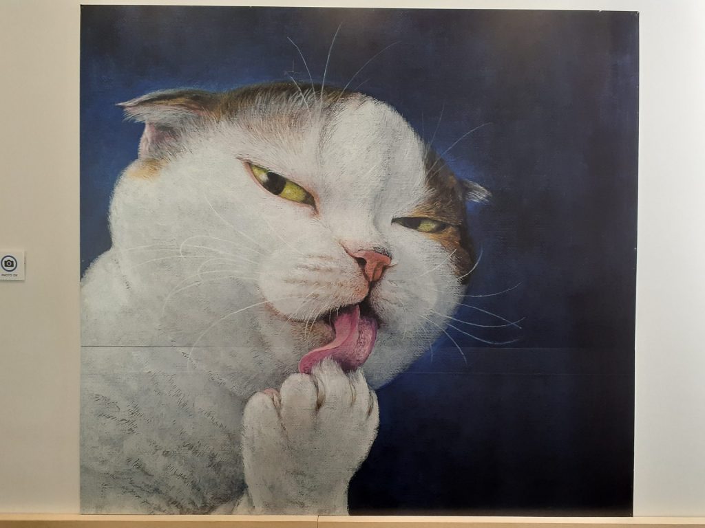 ˤեȥݥåȡإͥťΤ٤