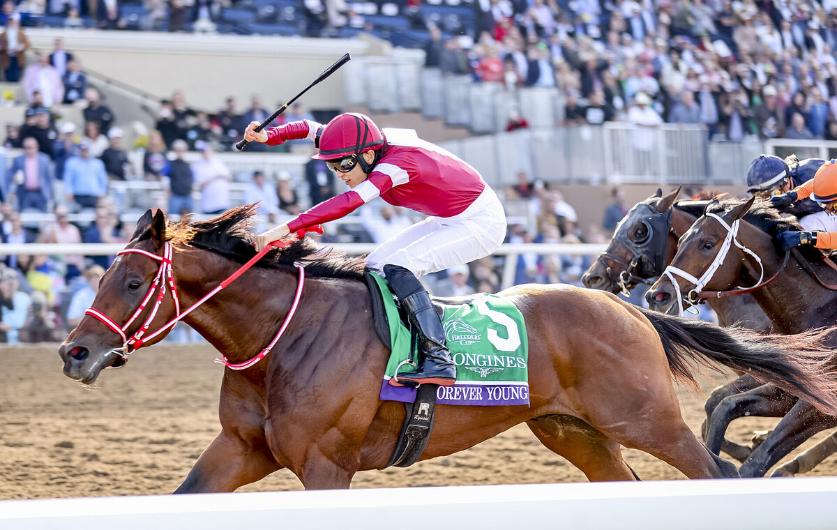 BCクラシック】フォーエバーヤング、世界制覇。坂井瑠「馬に感謝、全て