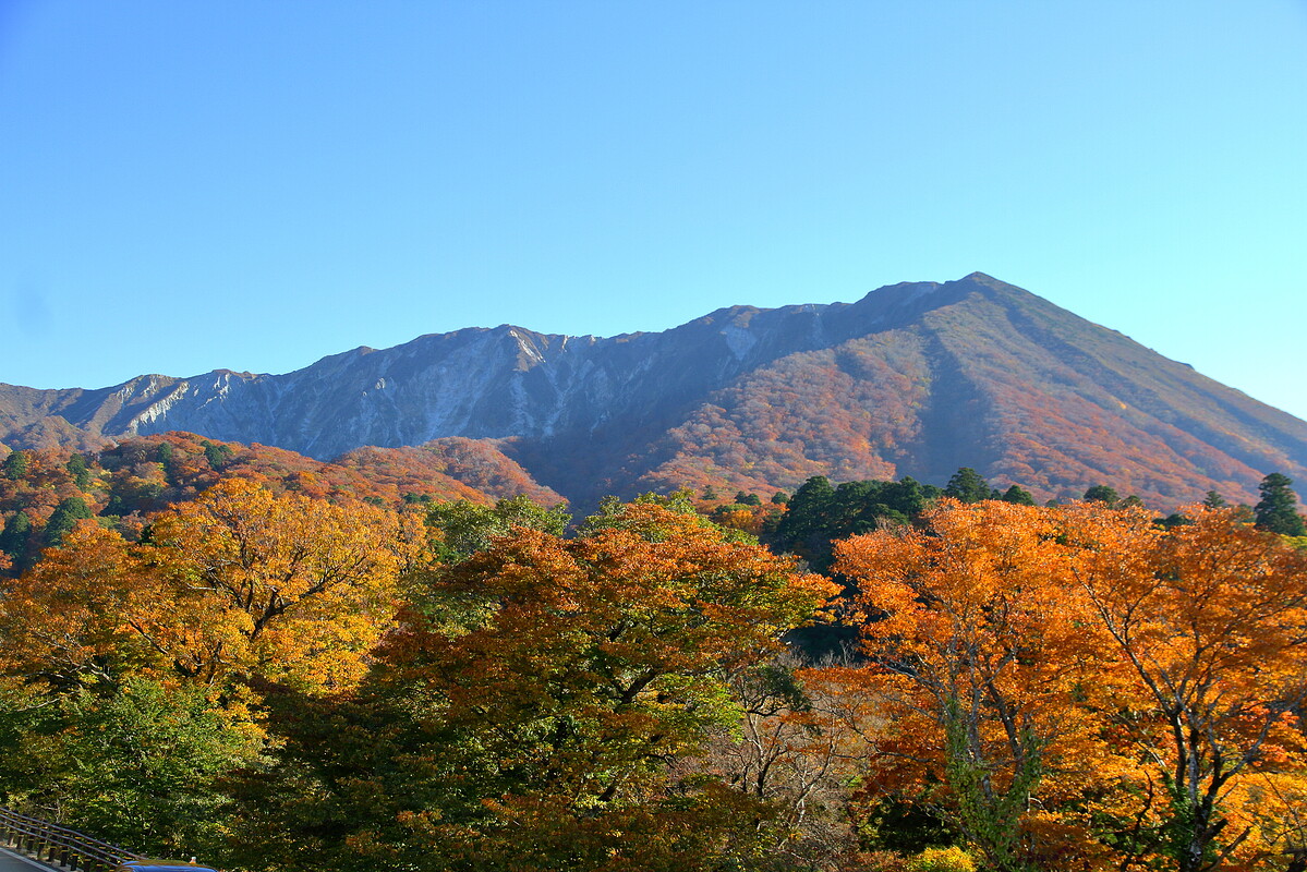 2025年10月、鳥取県内初の地域DMOとして登録―「大山観光局」設立ストーリーにみる産業振興としての観光