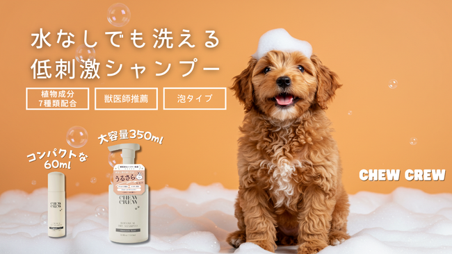 Ͽʹ֤1/10θ 餳ʤ
