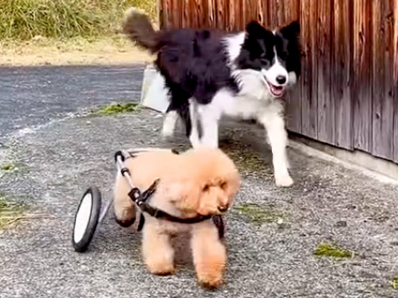 ˽Фȸ³2ɤθ ͥƵ㤭ޤ