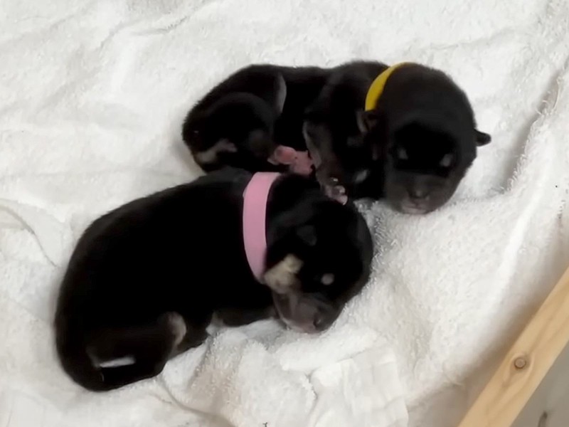 ����1���ܤ��֤���󸤤Ȱ����ʳƮ����ޥ޸� 1���֤�10�������