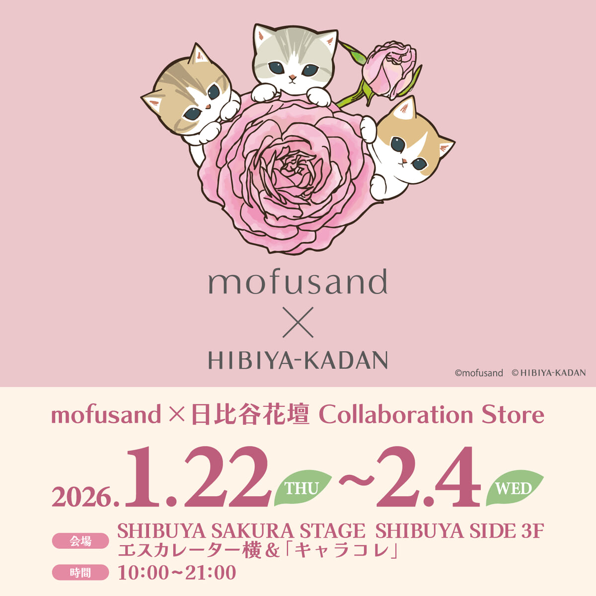 華やかなお花とにゃんこの共演！マリモクラフト「mofusand ＆ 日比谷花壇 Collaboration Store in 渋谷サクラステージ」 -  ライブドアニュース
