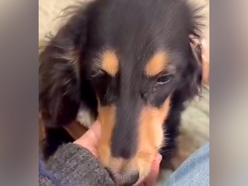 「素敵すぎる家族に出会えてよかった」奇跡の物語が反響を呼ぶ