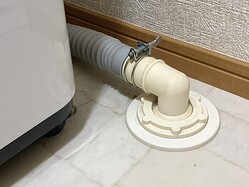 ������10ǯ�ۤ��˰�̴������֤ޤ����γ��˿夬�ġġ� ���ۤ��ȼԤΥߥ��ǿ��郎�ȿ�Ӥ����ɤˤʤä�30����������˾