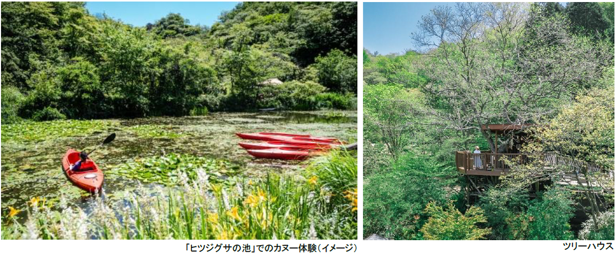 ROKKO森の音ミュージアム神戸市街地より-5度の避暑地体験「ROKKO山涼みフェス2026」開催2026年7月18日(土)~20日(月・祝)