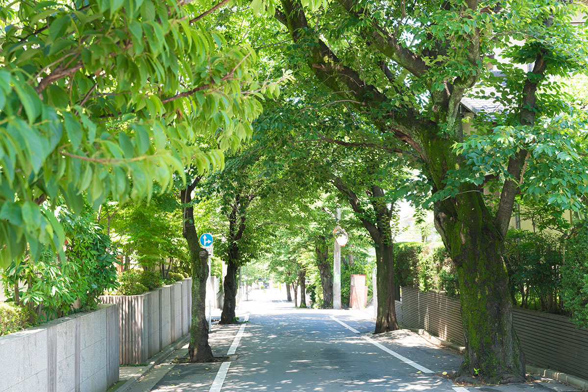 2026年の「2つの狙い目」とは（shigemi okano/shutterstock.com）