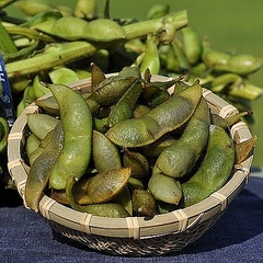 枝豆の 豆知識 おいしいものを選ぶコツは 7 8割程度の張り加減 ライブドアニュース 枝豆の 豆知識 おいしいものを選ぶコツは 7 8割程度の張り加減 ライブドアニュース