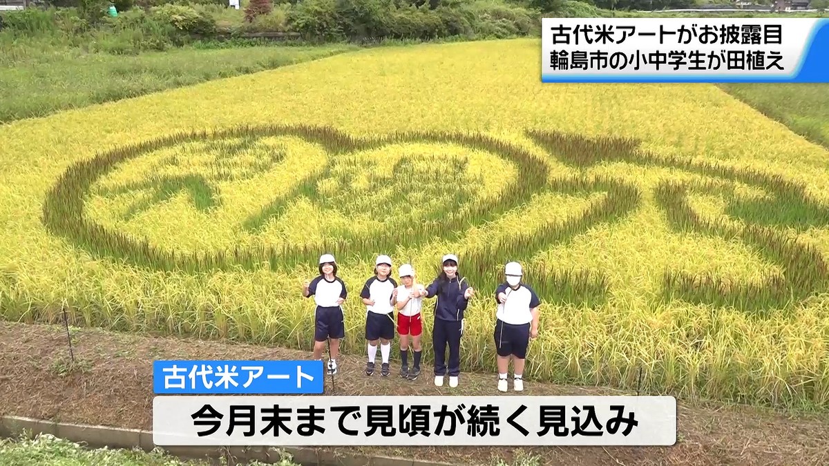 テレビ金沢NEWS