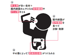 Ĳ��Ķ���������֤䤻�ݡפȤϡ����������åȤζ���̣����û�����û��פ򿩻��Ǽ������褦����1���֤�゙�����-10�м��֤��Τˤʤ뤹��゙����ˡ��