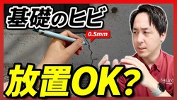 ����Ÿͷ��ơ۴��äΥҥӡ�0.5mm�פ����������ץ���������ִ����ʤҤӳ��פȡ����֤��Ƥ����ҥӡפθ�ʬ����