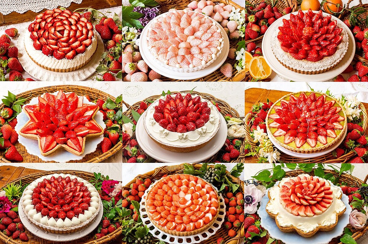 �ڥ���ե��ܥ�۽ܤΤ����������11��ʾ夬�о줹��ե������š�����Թᡦ�������Ȥۤäڡ����ޤ����ʤɡ�������ϤΥե�å���ʥ����������