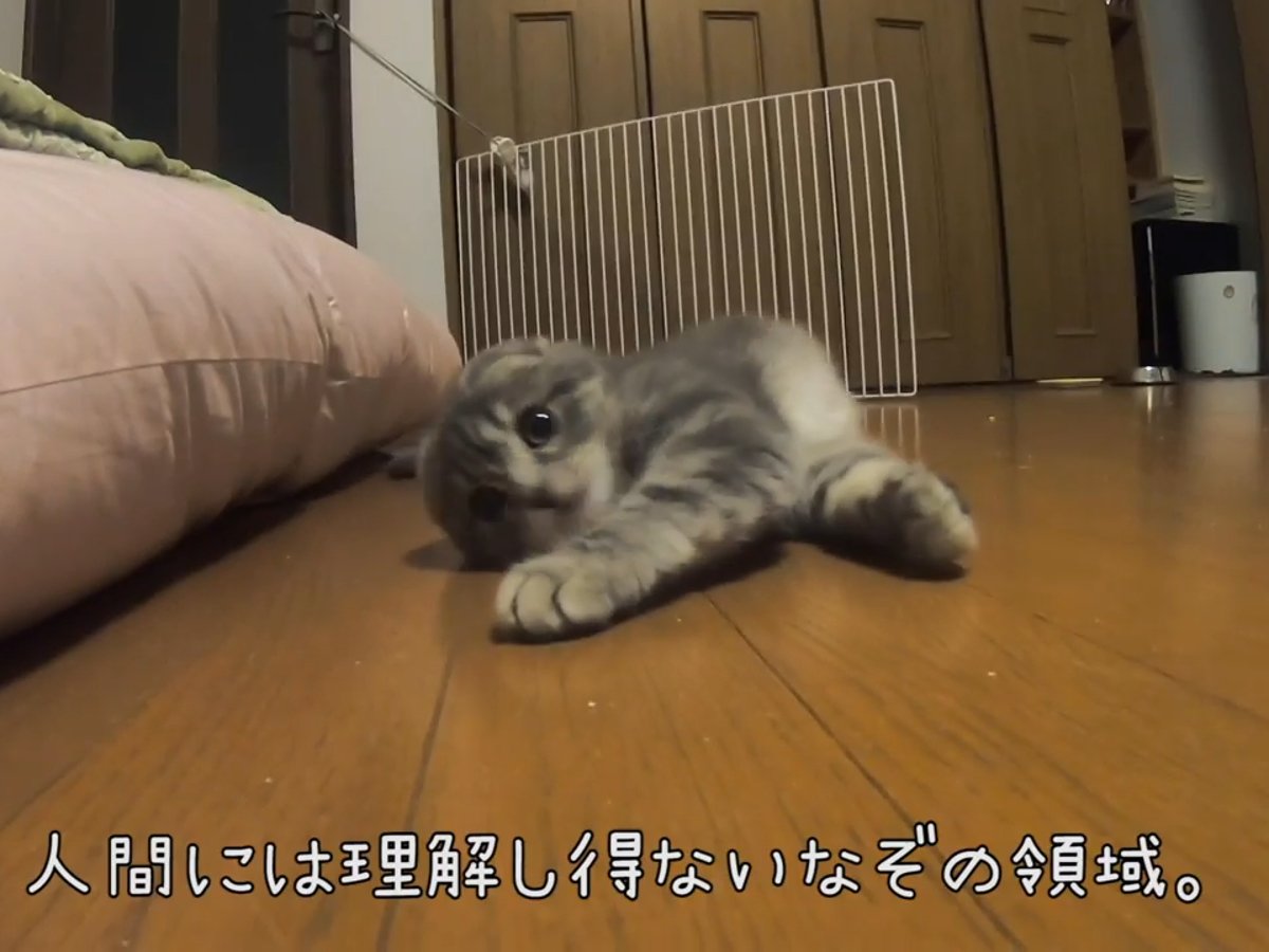 ž���뤿�Ӥ˥����������