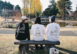 ��餷��ڤ���ͤ����䤹���ҥ����� ���ѥ��֥��ɡ�BLP apparel��
