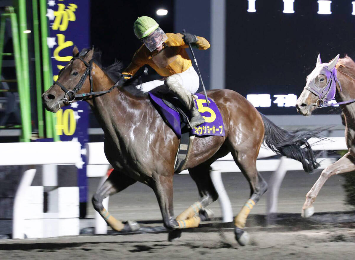 御厨人窟賞を制したジョウショーホープ