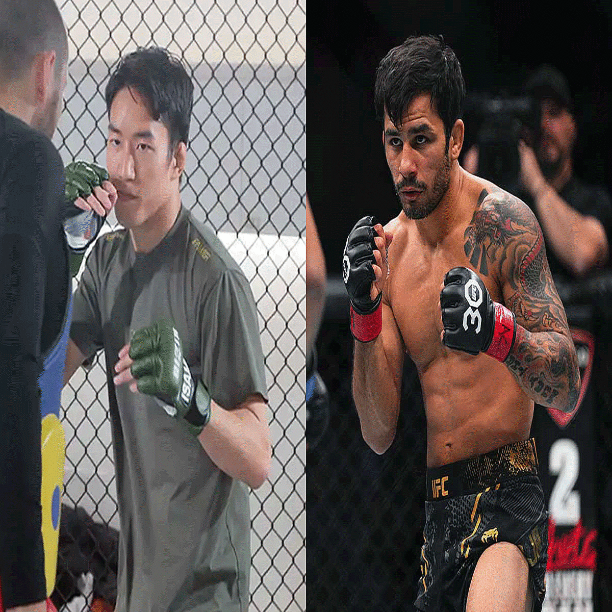 【UFC】「パントージャは絶対的な男」王者の“際立つ強さ”を現地実況者が語る 朝倉海にも言及 「どんな人間兵器が倒せる?」 (2024年11月 ...