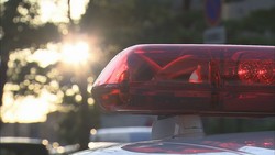 UX����ƥ��21