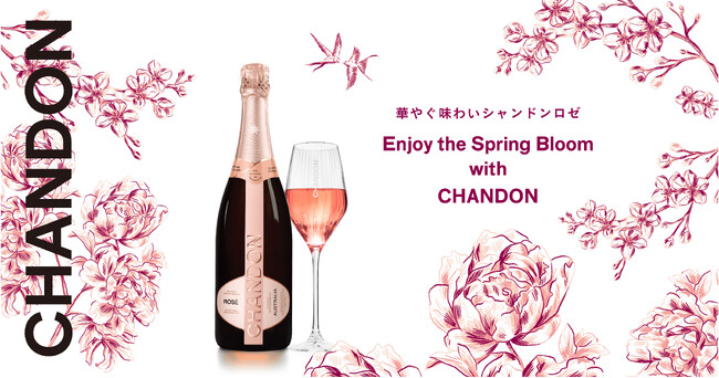 コスプレ小道具　飾りボトル　MOET＆CHANDON 14本SET コスプレ小道具 飾りボトル MOET＆CHANDON 14本SET